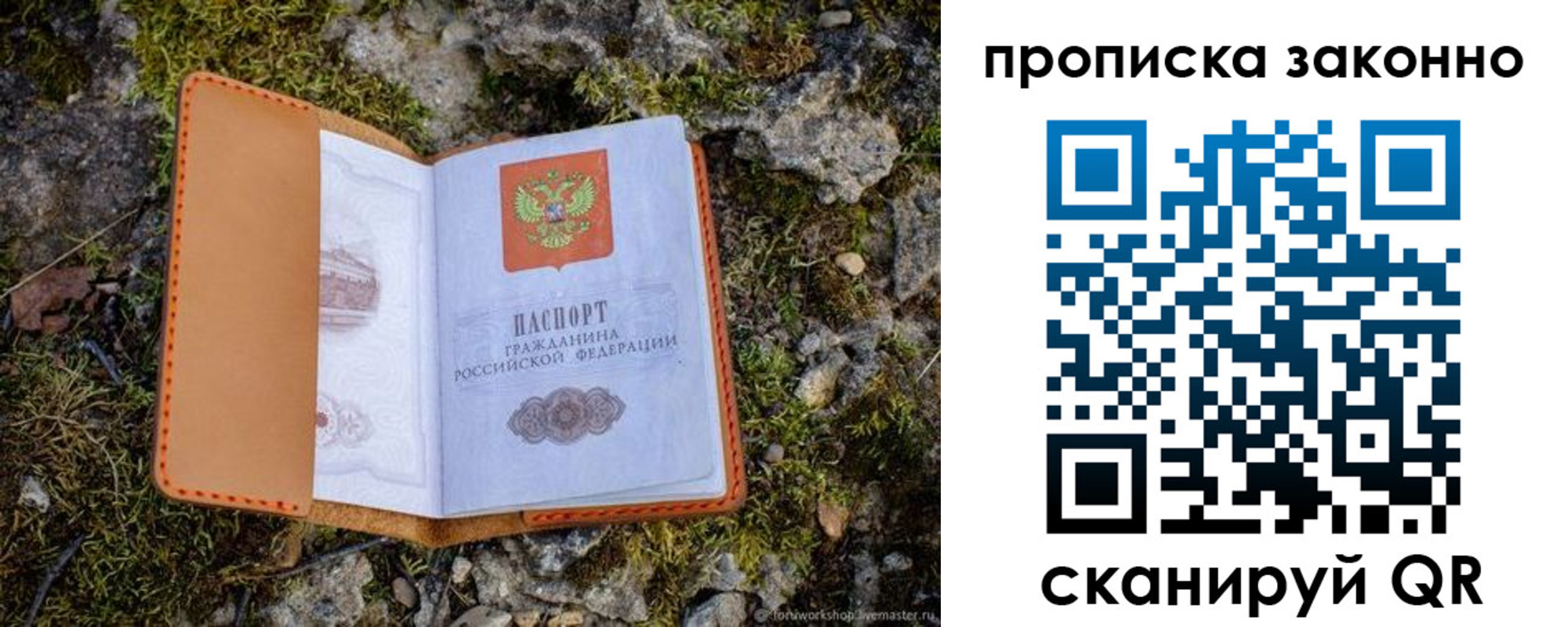 временная регистрация для всех в Борзе