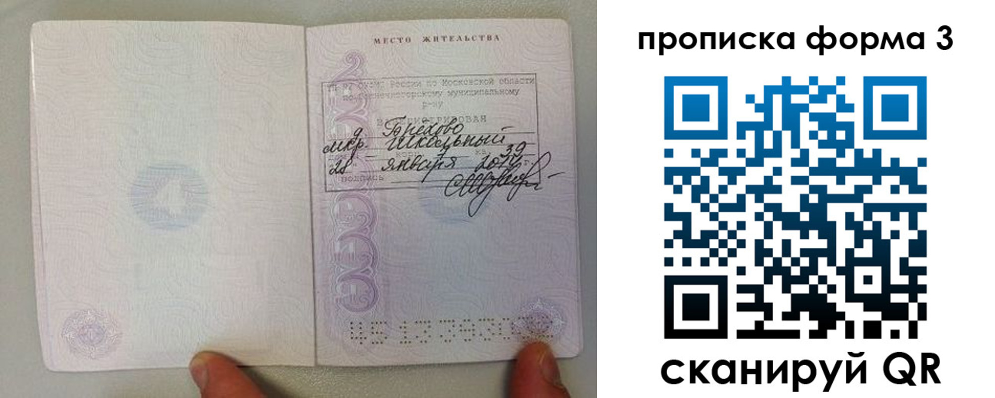 прописка гарантия в Борзе